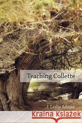 Teaching Collette False Witnesses & Teaching Collette J. Leslie Adams 9781430308188