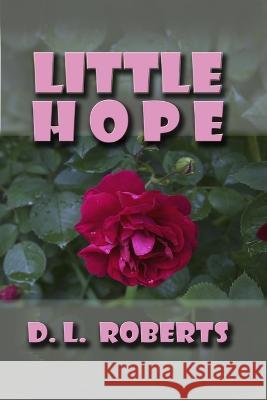 Little Hope D L Roberts 9781430314097 Lulu Press