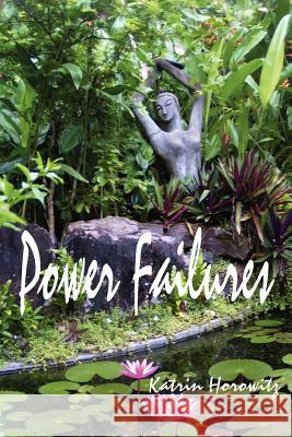 Power Failures Katrin Horowitz 9781430325550