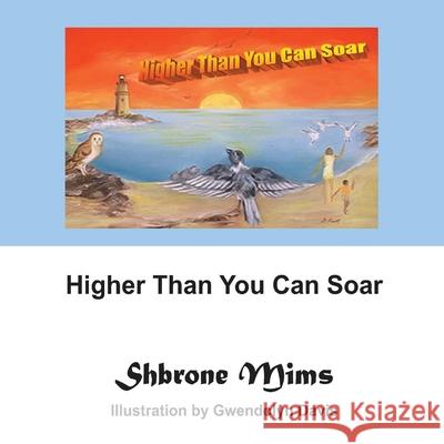 Higher Than You Can Soar Shbrone Mims 9781432718381