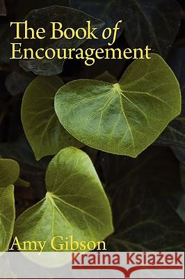 The Book of Encouragement Amy Gibson 9781432733674 Outskirts Press