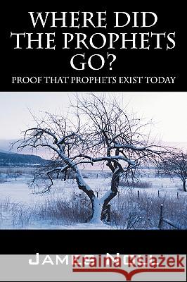 Where Did The Prophets Go?: Proof That Prophets Exist Today Noll, James 9781432737696