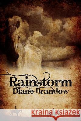 Rainstorm Diane Brandow 9781432752941 Outskirts Press