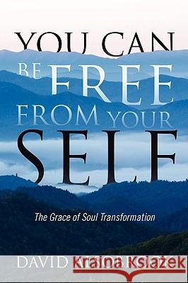 You Can Be Free from Your Self: The Grace of Soul Transformation David Alsobrook 9781432759872 Outskirts Press