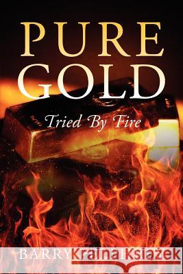 Pure Gold: Tried by Fire Pelphrey, Barry 9781432795368 Outskirts Press