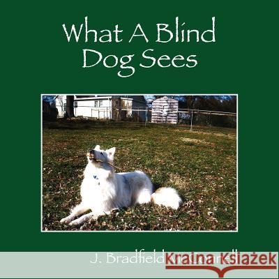 What A Blind Dog Sees McConnell, J. Bradfield 9781432797973 Outskirts Press