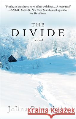 The Divide Jolina Petersheim 9781432841232 Thorndike Press Large Print