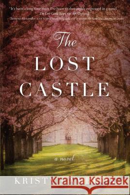 The Lost Castle: A Split-Time Romance Kristy Cambron 9781432849344