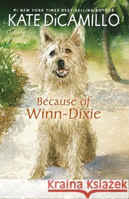 Because of Winn-Dixie Kate DiCamillo 9781432864064 Thorndike Press Large Print