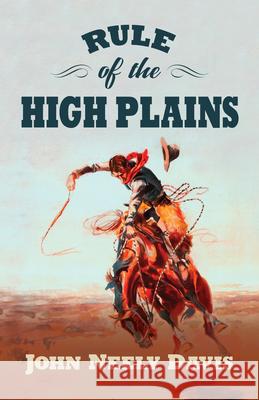 Rule of the High Plains: A Frank Rule Western Collection John Neely Davis 9781432878320 Five Star Publishing