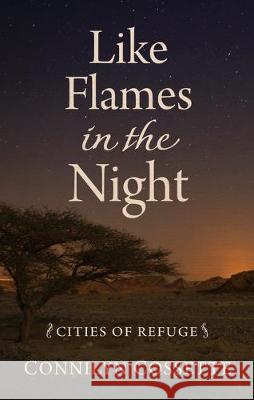 Like Flames in the Night Connilyn Cossette 9781432879051
