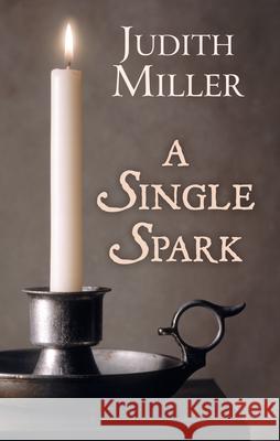 A Single Spark Judith Miller 9781432879549
