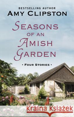 Seasons of an Amish Garden: Four Stories Amy Clipston 9781432880804 Thorndike Press Large Print