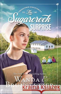 The Sugarcreek Surprise Wanda E. Brunstetter 9781432895716