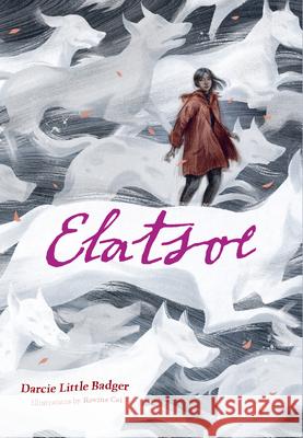 Elatsoe Darcie Little Badger 9781432896829 Youth Large Print