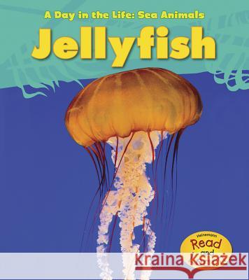 Jellyfish Louise A. Spilsbury 9781432940072 Heinemann Educational Books