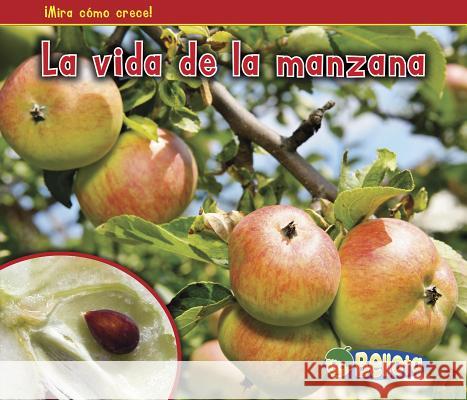La Vida de la Manzana = The Life of an Apple Nancy Dickman 9781432952860 