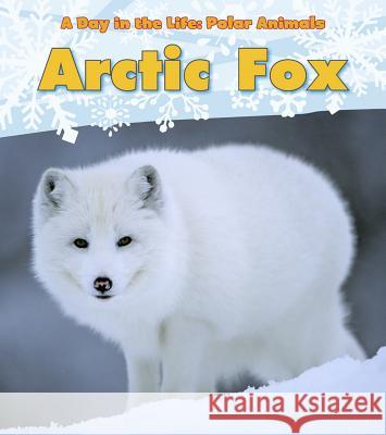 Arctic Fox Katie Marsico 9781432953362 Heinemann Educational Books