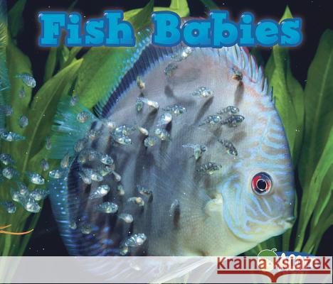 Fish Babies Catherine Veitch 9781432984182