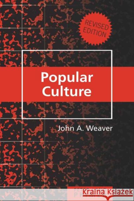 Popular Culture Primer: Revised Edition Steinberg, Shirley R. 9781433105883