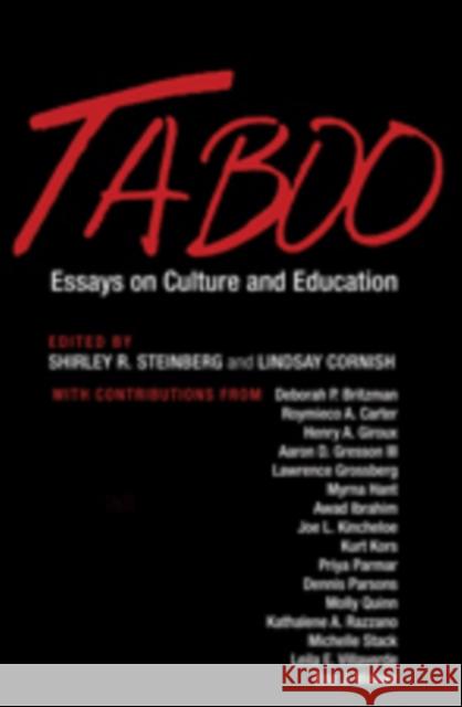 Taboo: Essays on Culture and Education Steinberg, Shirley R. 9781433108402