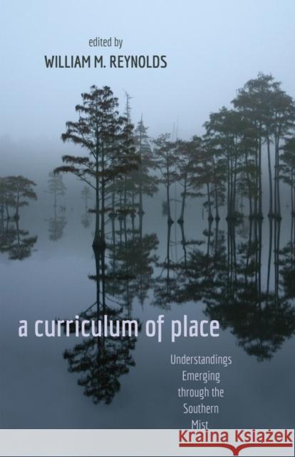 A Curriculum of Place: Understandings Emerging Through the Southern Mist Steinberg, Shirley R. 9781433113321