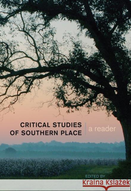 Critical Studies of Southern Place: A Reader Steinberg, Shirley R. 9781433122514