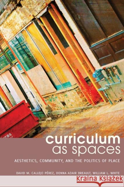 Curriculum as Spaces: Aesthetics, Community, and the Politics of Place Pinar, William F. 9781433125102 Peter Lang Publishing Inc