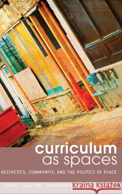 Curriculum as Spaces: Aesthetics, Community, and the Politics of Place Pinar, William F. 9781433125119 Peter Lang Publishing Inc