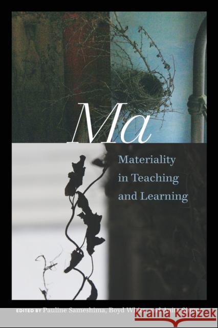 Ma: Materiality in Teaching and Learning Sinner, Anita 9781433134500