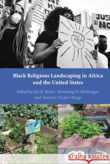 Black Religious Landscaping in Africa and the United States Joy R. Bostic Itumeleng Mothoagae Tamelyn Tucker-Worgs 9781433172588 Peter Lang Inc., International Academic Publi