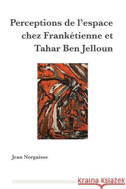 Perceptions de l'Espace Chez Frankétienne Et Tahar Ben Jelloun Blayer, Irene Maria F. 9781433177484 Peter Lang Gmbh, Internationaler Verlag Der W