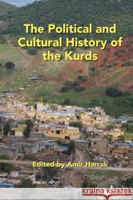 The Political and Cultural History of the Kurds Amir Harrak 9781433182129 Peter Lang Inc., International Academic Publi