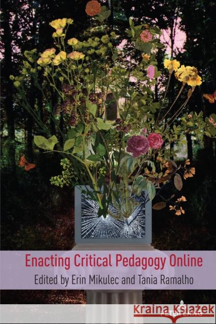 Enacting Critical Pedagogy Online Erin Mikulec Tania Ramalho  9781433194092
