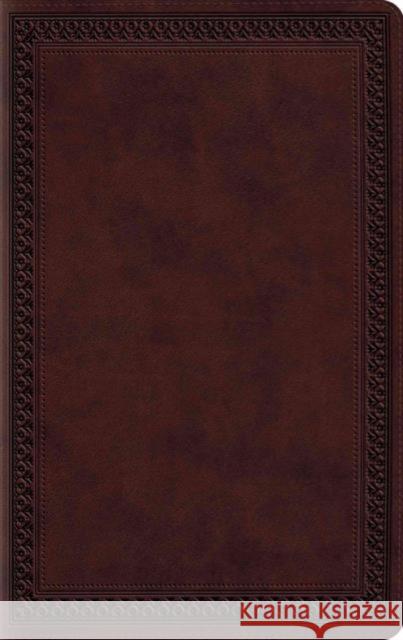 ESV Large Print Value Thinline Bible  9781433550294 Crossway Books