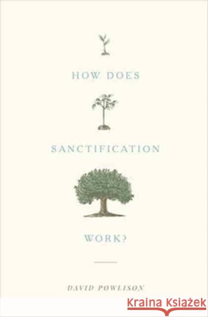 How Does Sanctification Work? David Powlison 9781433556104 Crossway Books