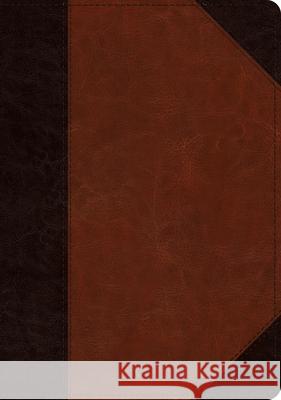 ESV Large Print Wide Margin Bible  9781433562457 Crossway Books