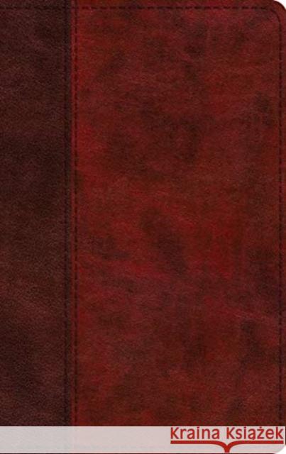 ESV Large Print Thinline Bible (Trutone, Burgundy/Red, Timeless Design)  9781433566820 Crossway Books