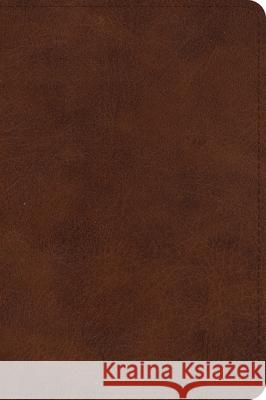 ESV Large Print Bible  9781433566929 Crossway Books