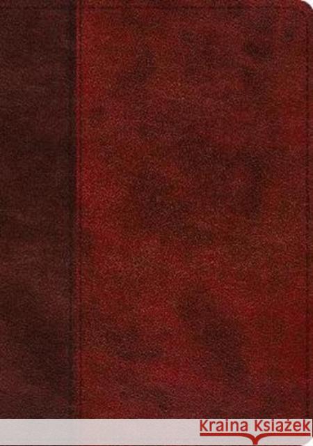 ESV Single Column Journaling Bible, Large Print (Trutone, Burgundy/Red, Timeless Design)  9781433568732 