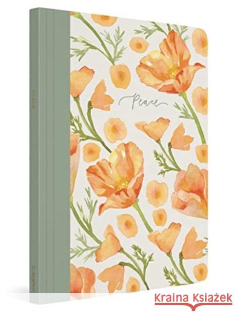 ESV Prayer Journal: 30 Days on Peace (Paperback) Erika Allen 9781433582486