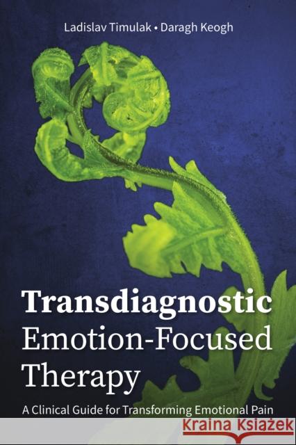 Transdiagnostic Emotion-Focused Therapy: A Clinical Guide for Transforming Emotional Pain Ladislav Timulak Daragh Keogh 9781433836633 American Psychological Association (APA)