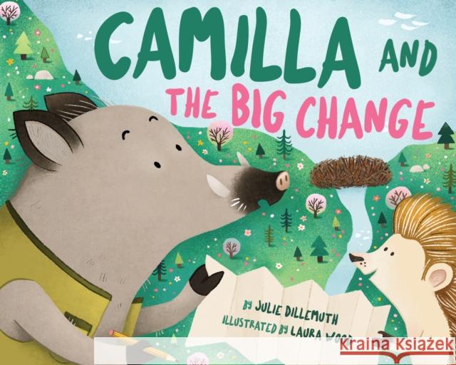 Camilla and the Big Change Julie Dillemuth 9781433838125