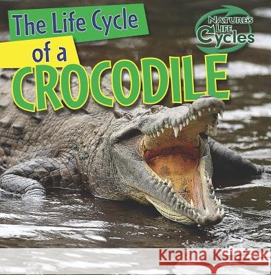 The Life Cycle of a Crocodile Barbara M. Linde 9781433946721 Gareth Stevens Publishing