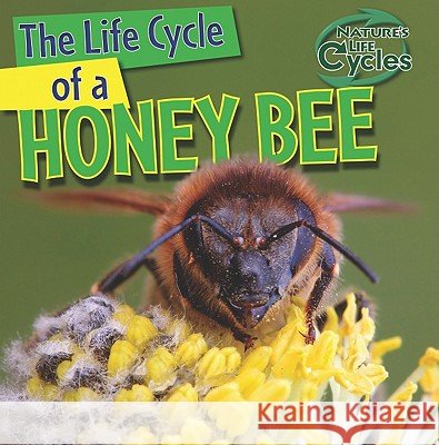 The Life Cycle of a Honeybee Barbara M. Linde 9781433946769