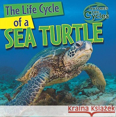 The Life Cycle of a Sea Turtle Anna Kingston 9781433946882 Gareth Stevens Publishing
