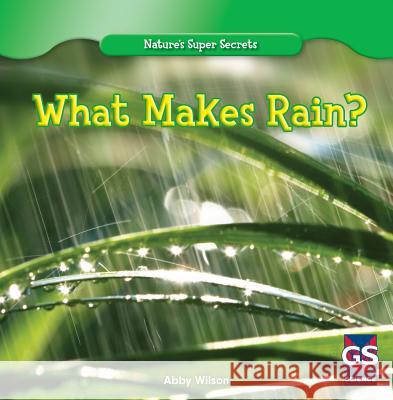 What Makes Rain? Abby Wilson 9781433981715 Gareth Stevens Publishing