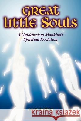 Great Little Souls: A Guidebook to Mankind's Spiritual Evolution Mohun, Navin 9781434303752