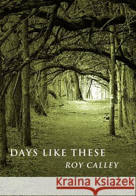 Days Like These Roy Calley 9781434303899 Authorhouse