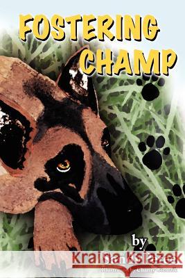 Fostering Champ Sandi Petee 9781434311757
